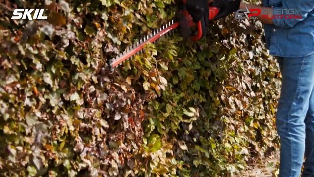 SKIL 0430: Snoerloze vrijheid voor moeiteloos snoeien van heggen en struiken смотреть онлайн