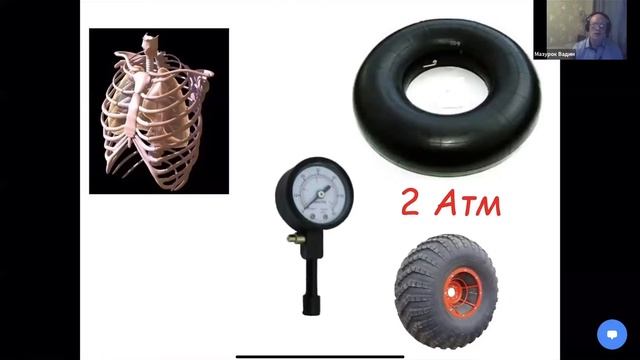 Анализ состава вдыхаемой и выдыхаемой газовой смеси. Лебединский К.М. и Мазурок В.А. смотреть онлайн