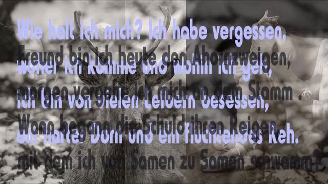 Ingeborg Bachmann - Wie soll ich mich nennen смотреть онлайн