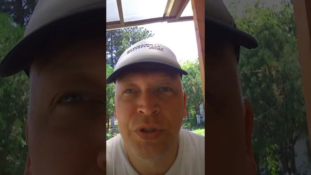 Бюджетные музыкальные инструменты и "крутые" музыканты. смотреть онлайн