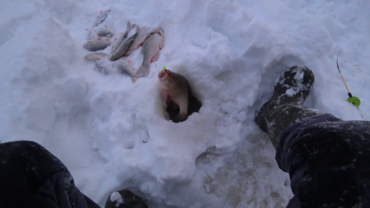 рыбалка на красивой таежной реке вынгапур. смотреть онлайн