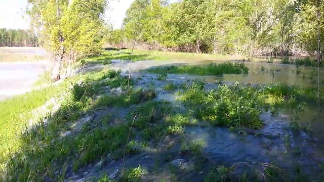 наводнение новоалтайск смотреть онлайн