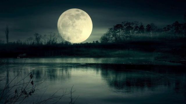 "Дети Луны", Слава Гауфберг ("Children of the Moon" by Slava Gaufberg) смотреть онлайн