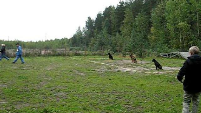 Кантрифоек Глория. Отношение к выстрелу. смотреть онлайн