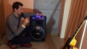 Мощная колонка 150W независимая (с аккумулятором) для улицы, выездов на природу. 15" динамик