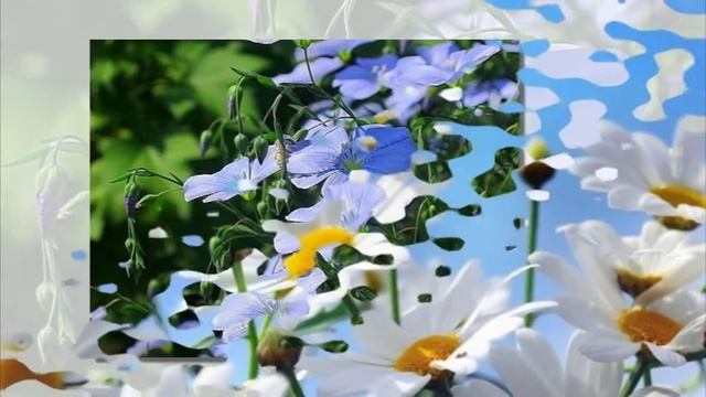 Полевые цветы 2 минус смотреть онлайн