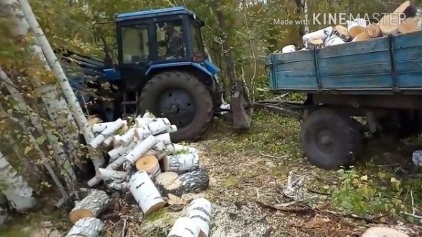 Заготовка дров на тракторе осень