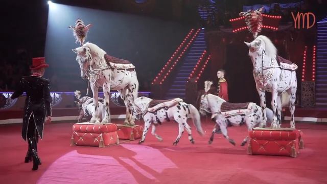 «Дрессированные собаки и лошади «Жокеи», Т. Мащенко (верcия с фестиваля в Цирке Никулина) смотреть онлайн