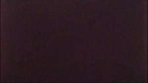 25/07/2005 — ЧТО ЗА ИНЦИДЕНТ?