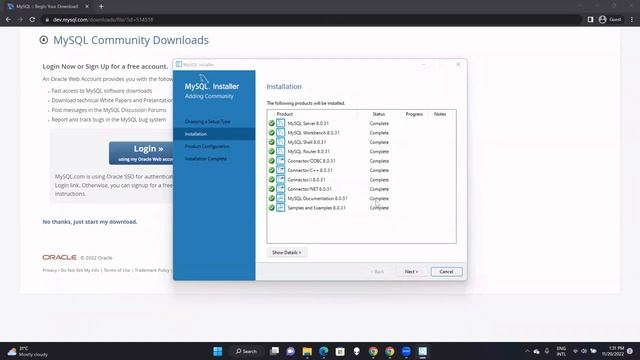 How to Install MySQL on Windows 11 смотреть онлайн