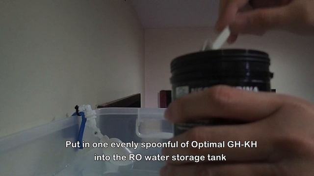 Neocaridina Shrimp Tank Part 1 - How To Setup смотреть онлайн