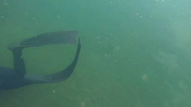 Озеро Блесна. Подводная охота в Ленинградской области. Гидрокостюмы HAMMERFISH смотреть онлайн