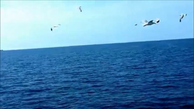 Если на душе моей грусть смотреть онлайн