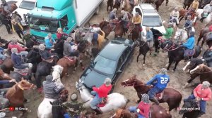 Бузкаши 27.01.2024 н.Дангара