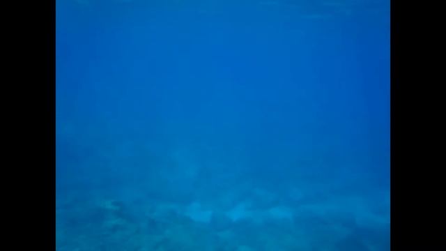 Nemo Submarine Ayia Napa Cyprus / Немо Подводная лодка Айя Напа Кипр смотреть онлайн