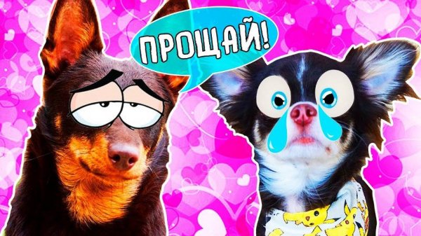 Юми бросил парень 💔🦄 Валентинки и секретный поклонник Кисы Алисы