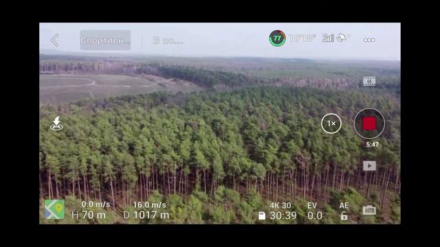 Dji Mavic mini 2 попал в зону Верификации. смотреть онлайн