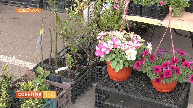 В Курске на Центральном рынке прошла фермерская ярмарка