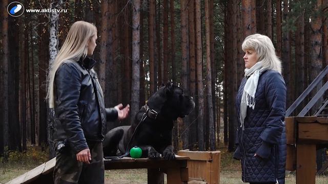 Живая среда смотреть онлайн