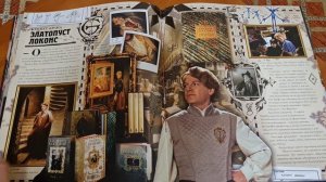 обзор книги Гарри Поттер - рождение легенды. Перезалив. (шёпот, перелистывание страниц)