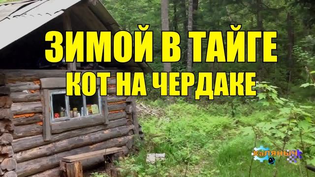 ВЫЖИТЬ ЗИМОЙ В ТАЙГЕ ИЗБУШКА ЛЕСНИКА КОТ НА ЧЕРДАКЕ СУДЬБА ЧЕЛОВЕКА смотреть онлайн