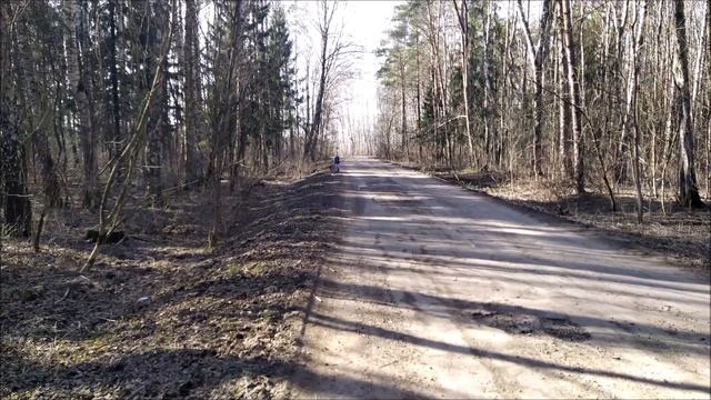 Прогулка в национальном парке "Лосиный остров". 26.03.2020. смотреть онлайн