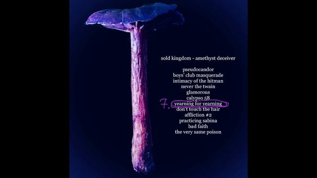 Sold Kingdom - Amethyst Deceiver - 07 Yearning for Yearning смотреть онлайн
