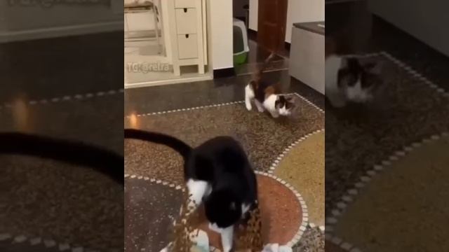 Вот и поели