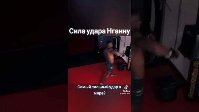 Нганну Сила удара. #бокс #мма #mma смотреть онлайн