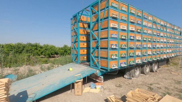 a first in the world. new system modern mobile beekeeping смотреть онлайн