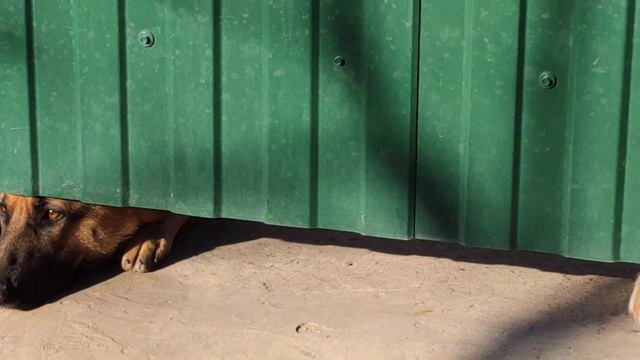 Двое на посту. смотреть онлайн