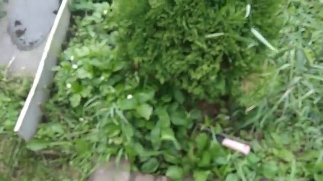 Что вяжу, что пеку, что мариную, что творю и многое другое смотреть онлайн