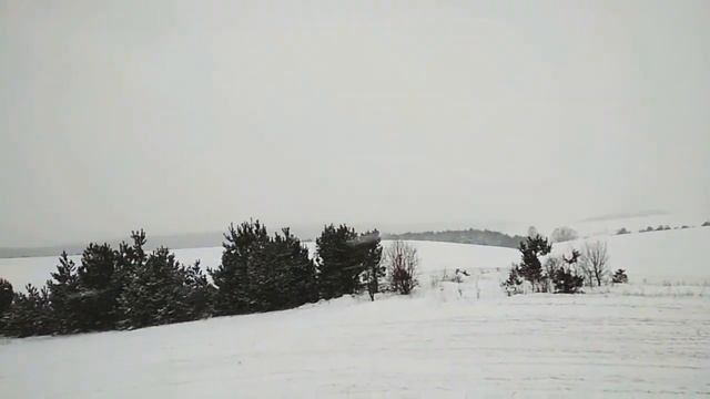 Renault Clio 1.5 Dci  в полі