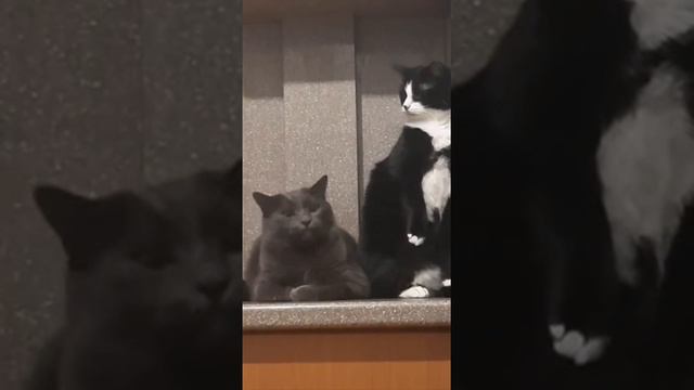 умеет выкрутится!