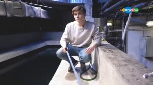 Пираньи. В мире животных с Николаем Дроздовым