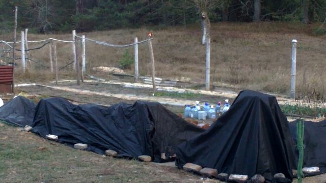 Укрытие роз на зиму.Воздушно-сухой способ для 5-й зоны USDA ( морозостойкости) смотреть онлайн