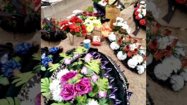 #ДимаНовоженин (3).mp4