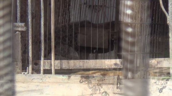 Симферопольский зоопарк