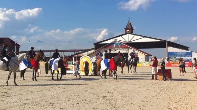 Если бы лошади стали видеоблогерами смотреть онлайн