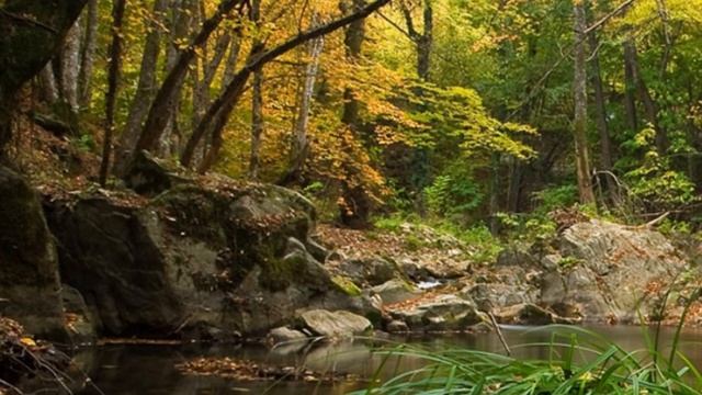 Wow Photo that are worth seeing at least once part-103 Фотографии которые стоит увидеть хотя бы раз смотреть онлайн