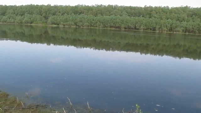 Утро в Колычёвке ч.1 смотреть онлайн