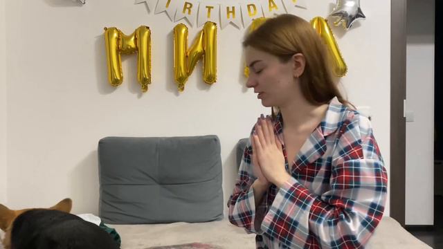 РАСПАКОВКА ОДЕЖДЫ ДЛЯ СОБАК | НОВОГОДНИЙ ВЫПУСК смотреть онлайн