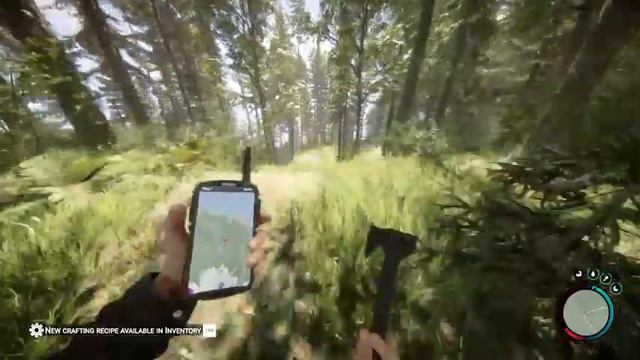 Sons Of The Forest Co-op any% Hard speedrun in 11:53.92 смотреть онлайн