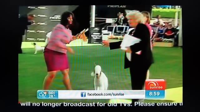 SAS7 Adelaide Channel 7 Analogue TV Switches Off смотреть онлайн