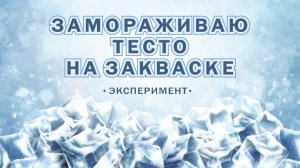 Что будет если заморозить❄ тесто на закваске ? Подойдет или умрет? ПОВЕРЯЮ В НОВОМ ЭКСПЕРИМЕНТЕ!?