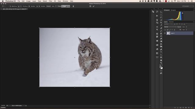 PhotoNERDs: How to Content Aware Scale in Photoshop CC 2015 смотреть онлайн