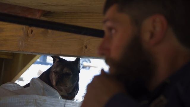 Sealing Up The Crawl Space смотреть онлайн