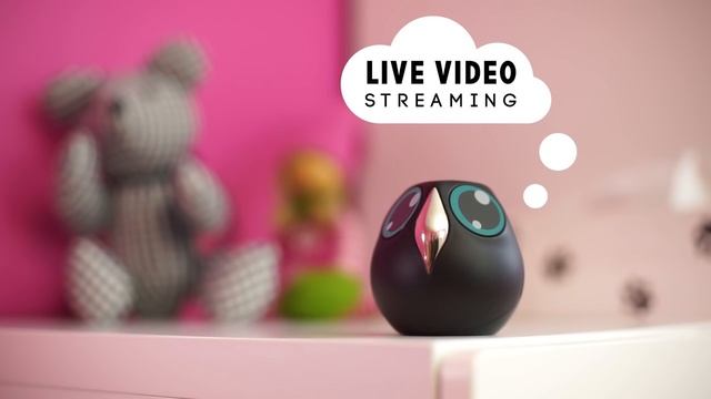 Интерактивная Сова Наблюдает За Тобой. Cute Owl is Watching You. смотреть онлайн
