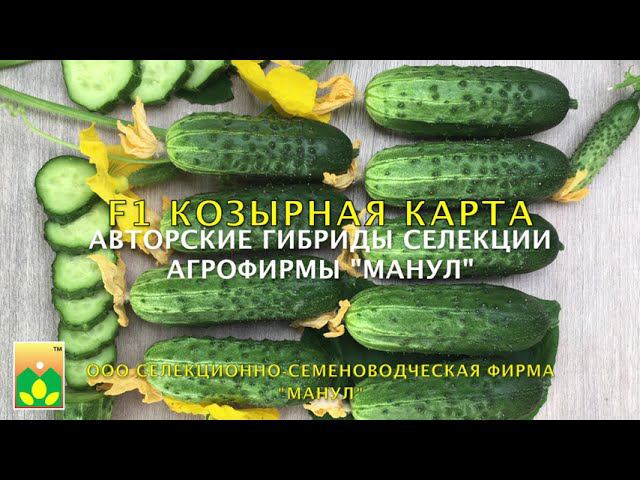 Агрофирма Манул