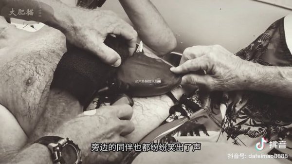 Dangerous catfish 😳